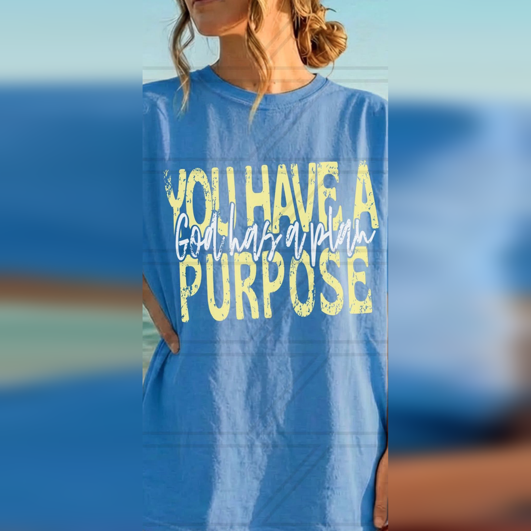 God Has a Plan You Have a Purpose Pale Yellow Distressed – DTF Transfer – product image