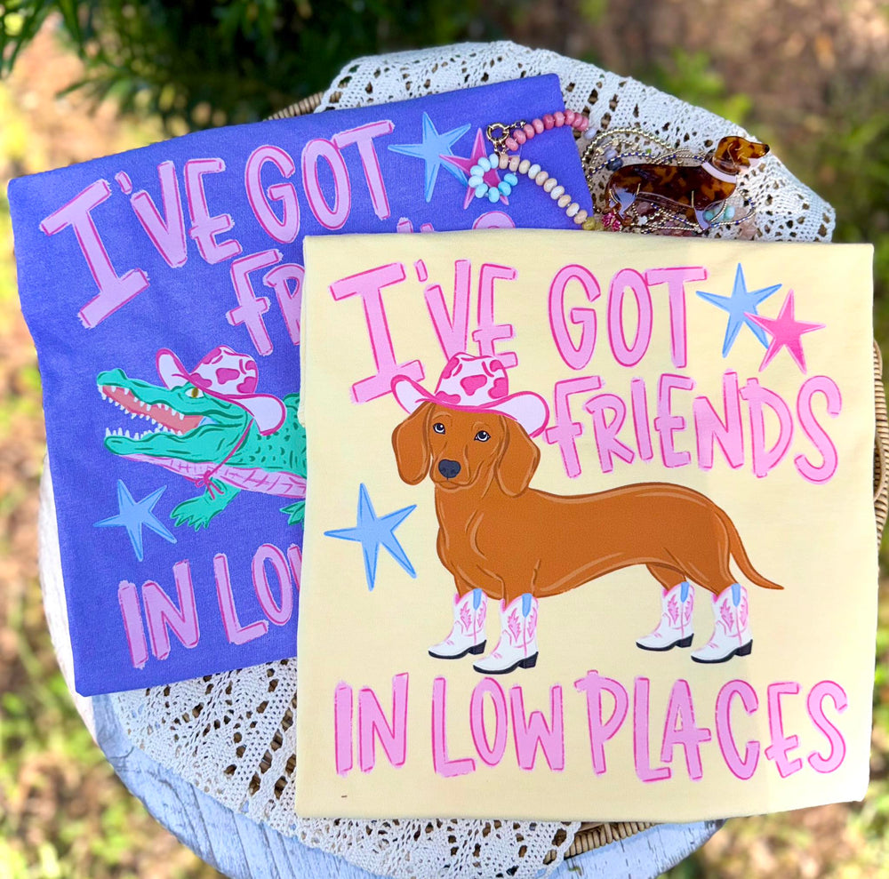 FRIENDS IN LOW PLACES GATOR summer DTF transfer design