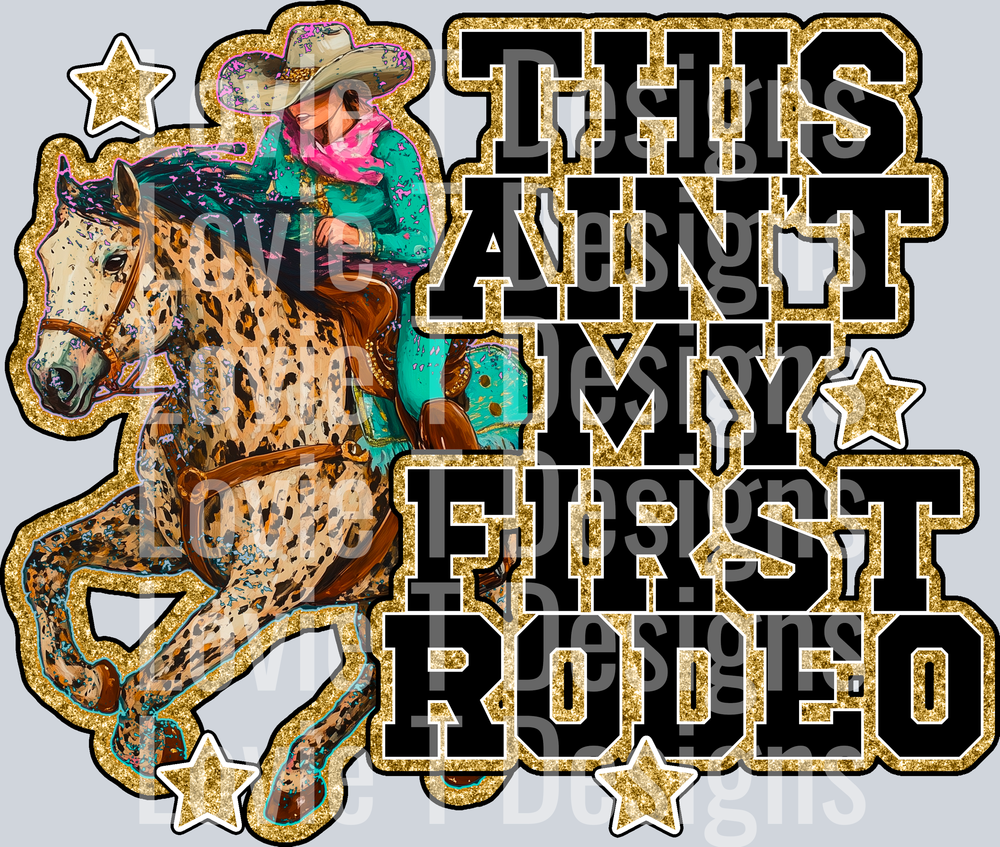 AIN_T_MY_FIRST_RODEO__