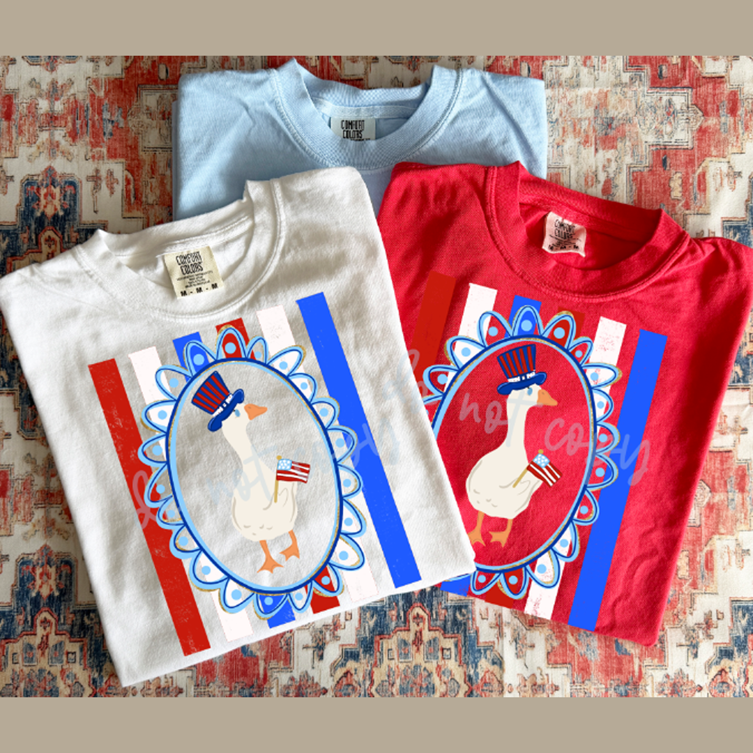 Boy Goose Patriotic – DTF Transfer