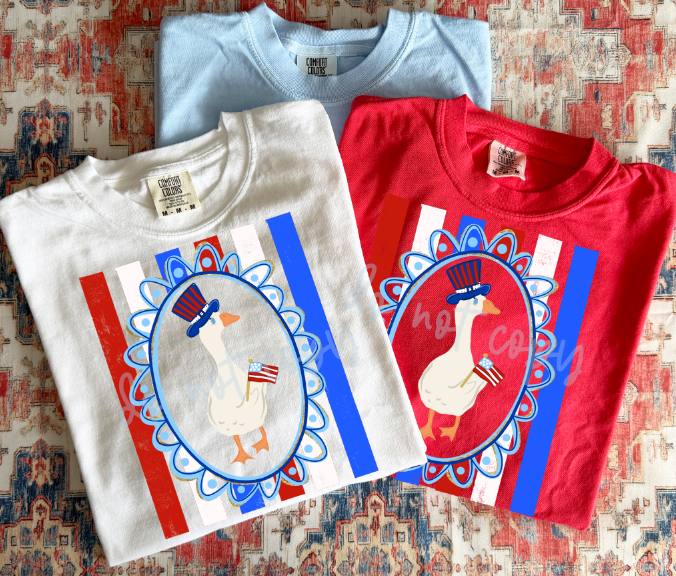 Boy Goose Patriotic DTF transfer design