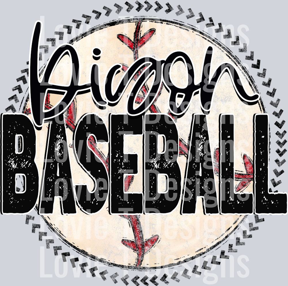 Baseball Grunge Circle Bison