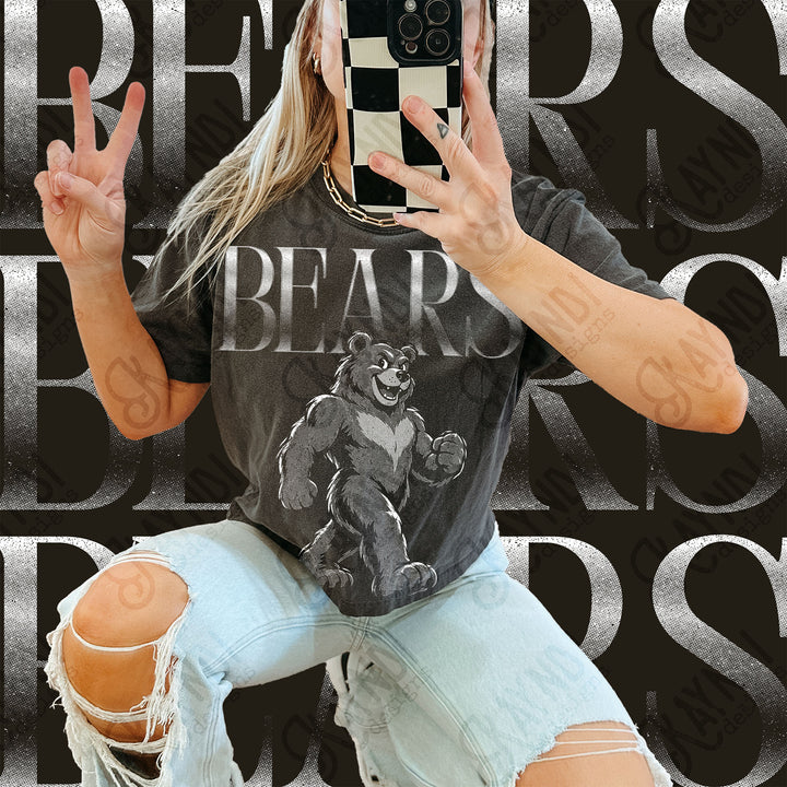 Halftone Mascots Bears 2 DTF transfer mockup