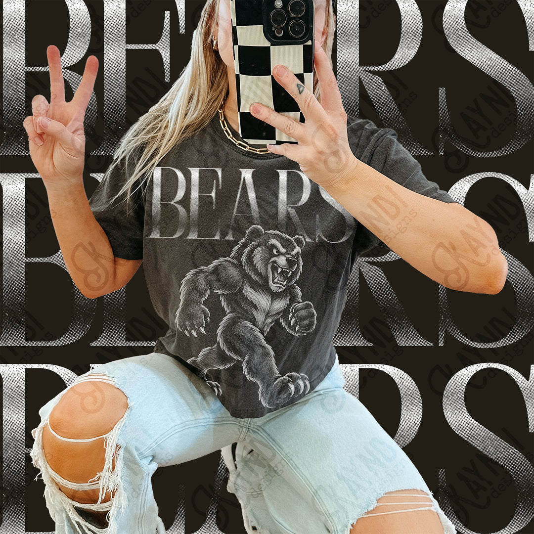Halftone Mascots Bears DTF transfer mockup