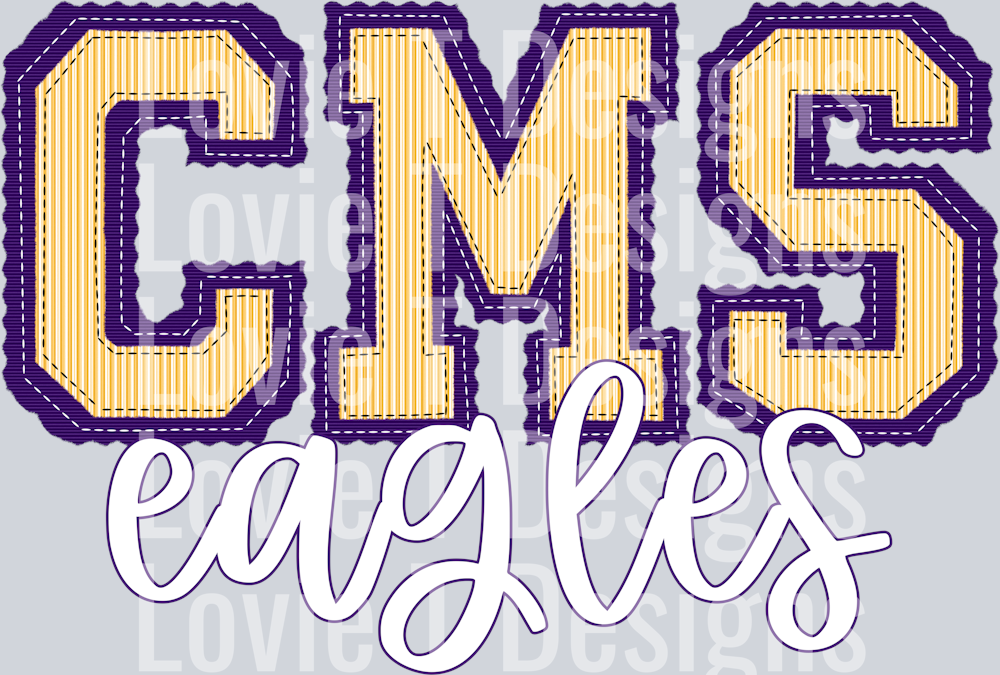 CMS EAGLES PURPLE BASE YELLOW TOP PREPSTER