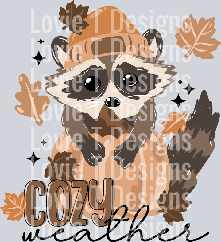Cozy_Weather_Racoon