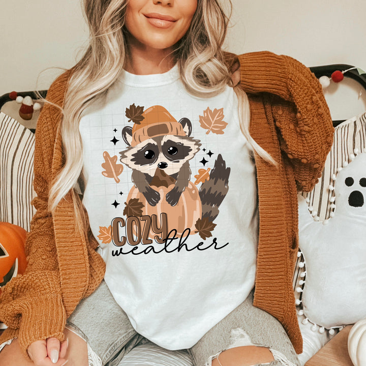 COZY WEATHER RACOON