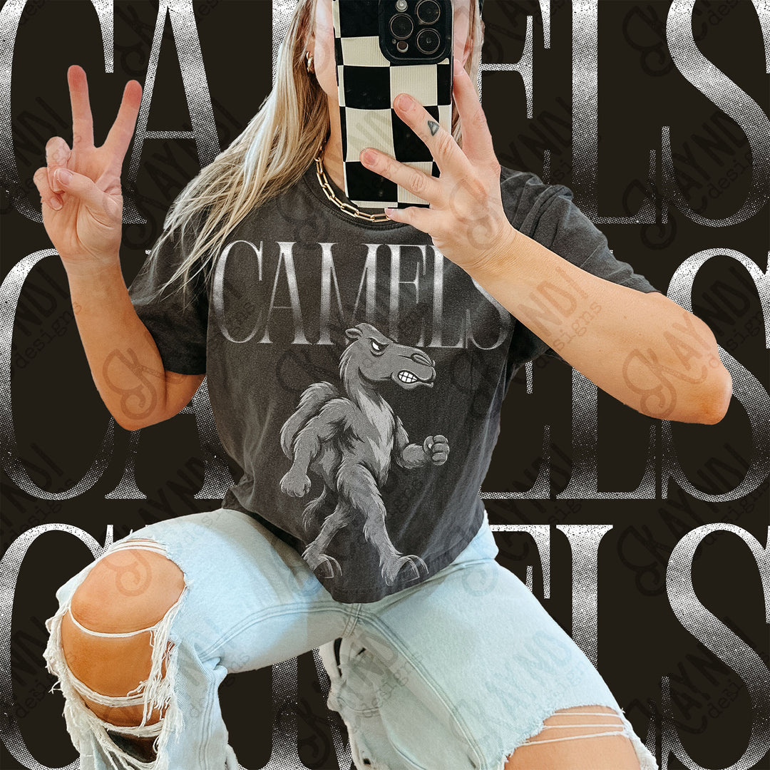 Halftone Mascots Camels DTF transfer mockup