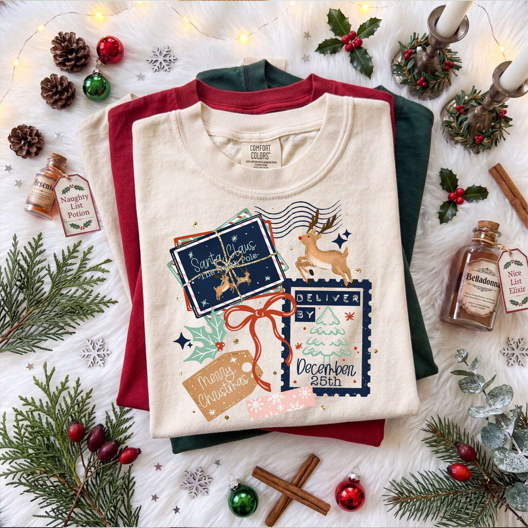CHRISTMAS POSTAGE Christmas DTF transfer design