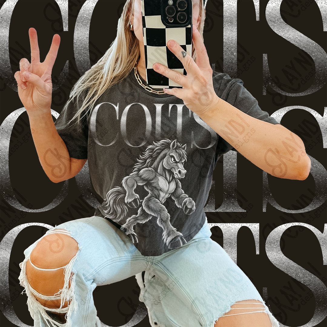 Halftone Mascots Colts 2 DTF transfer mockup