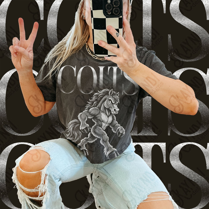 Halftone Mascots Colts 2 DTF transfer mockup
