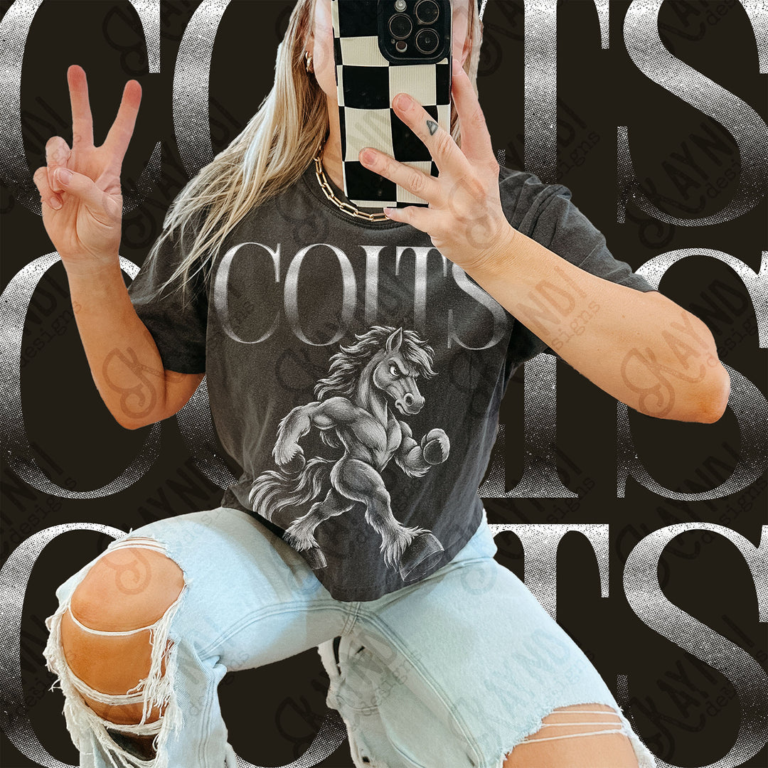 Halftone Mascots Colts 4 DTF transfer mockup