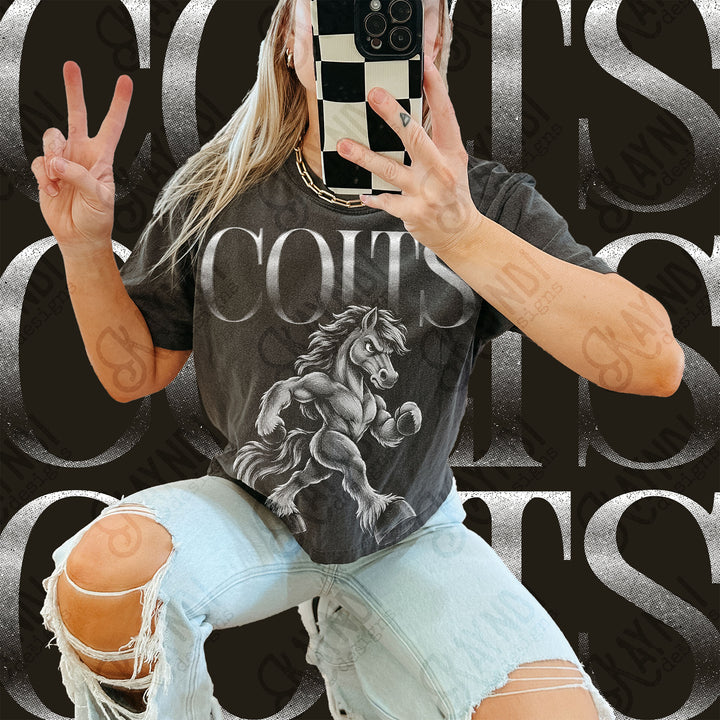 Halftone Mascots Colts 4 DTF transfer mockup
