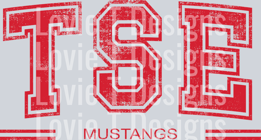 Distressed Varsity TSE MUSTANGS