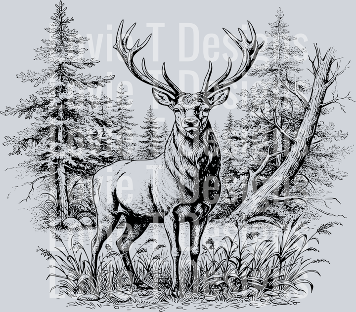 Deer