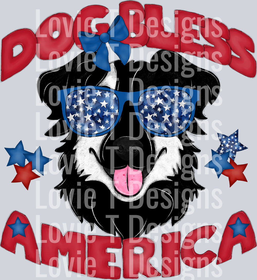 Dog Bless America Border Collie