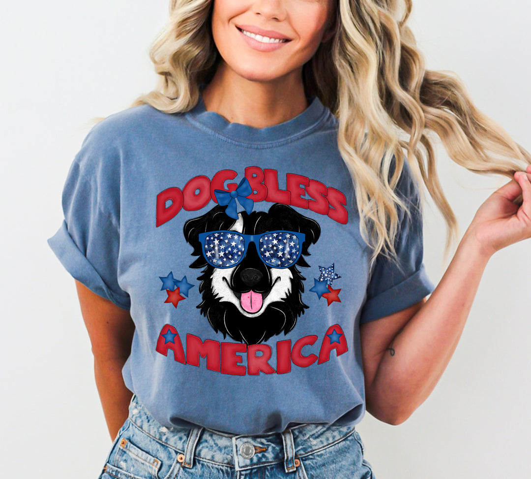 DOG BLESS AMERICA BORDER COLLIE