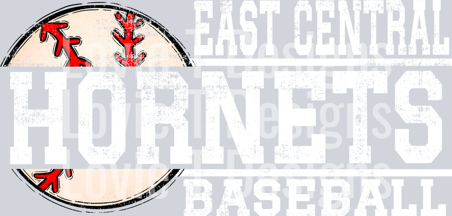 EASTER CENTRAL HORNETS SPLIT BASEBALL