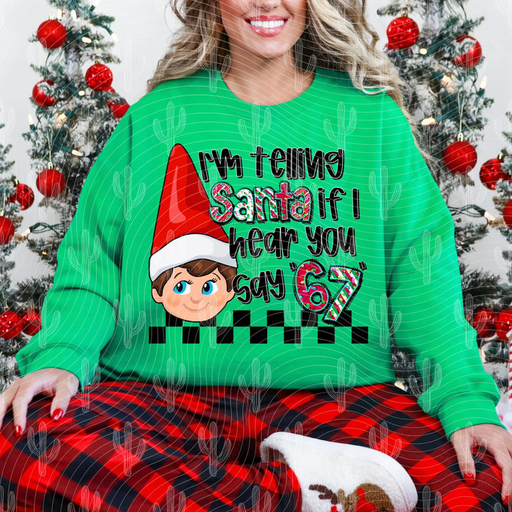 ELF TELLING SANTA 67