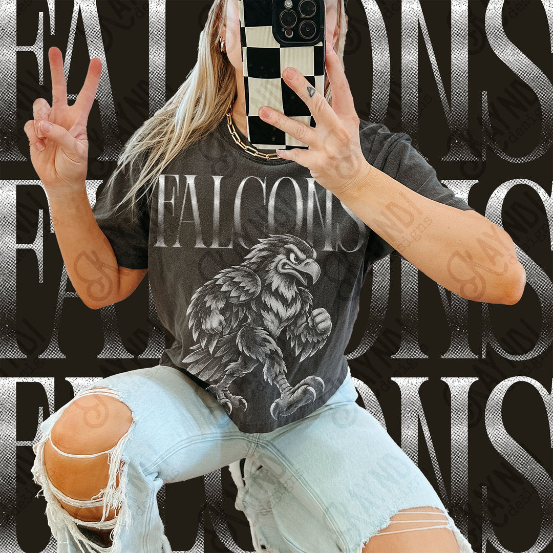 Halftone Mascots Falcons 4 DTF transfer mockup