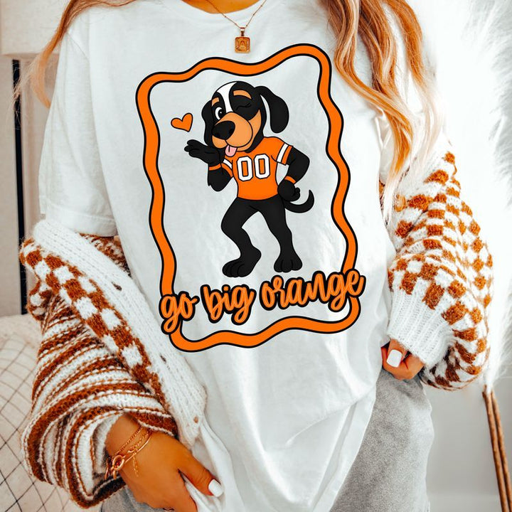 GO BIG ORANGE