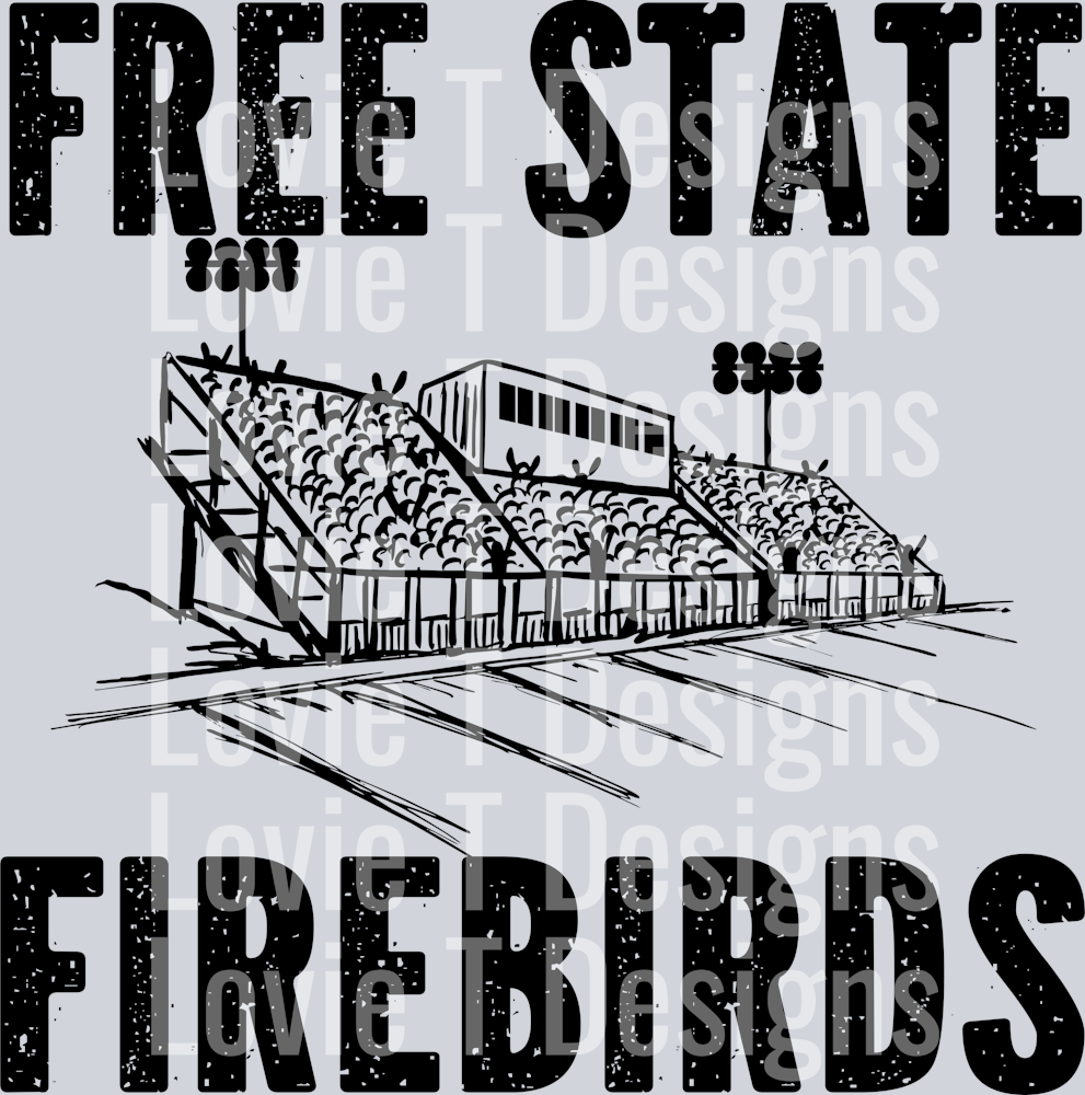 GRUNGE STADIUM FREE STATE FIREBIRDS
