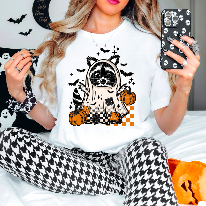 GHOST RACCOON NO WORDS