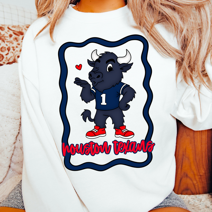 HOUSTON TEXANS