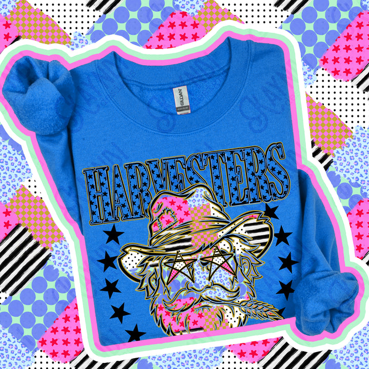 Harvesters Patchwork Varsity Stars mascot DTF transfer