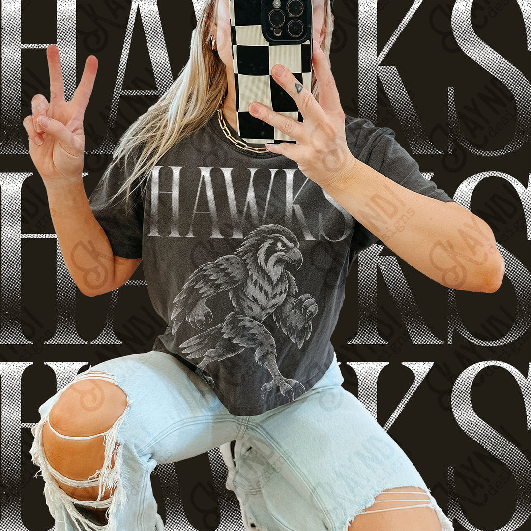 Halftone Mascots Hawks DTF transfer mockup