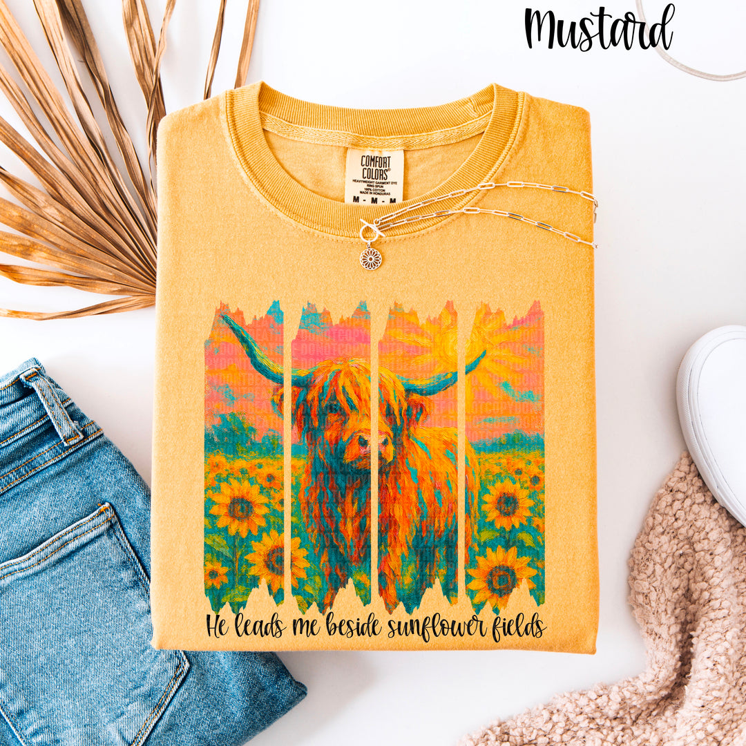 HE LEADS ME SUNFLOWER FIELDS