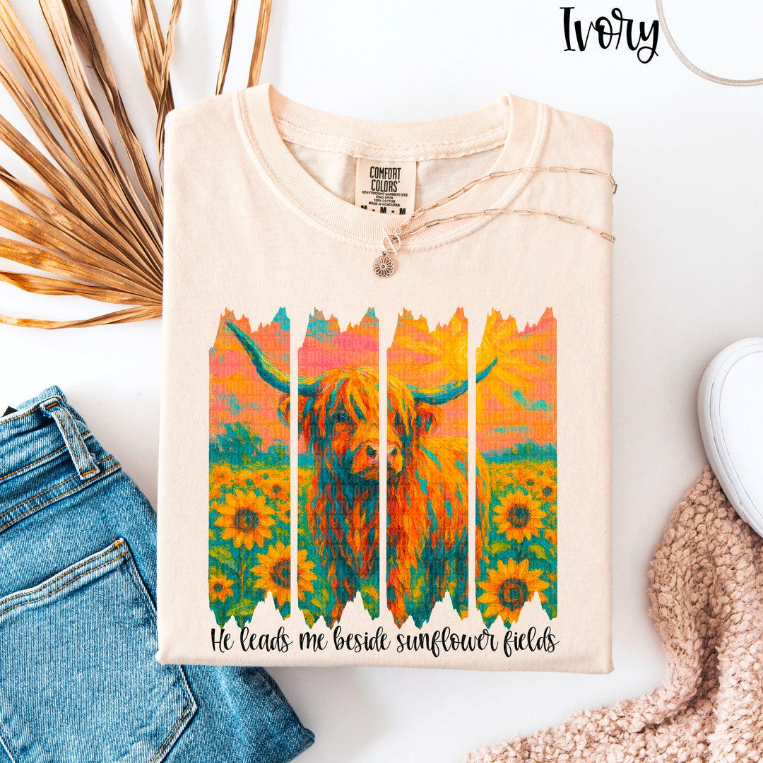 HE LEADS ME SUNFLOWER FIELDS