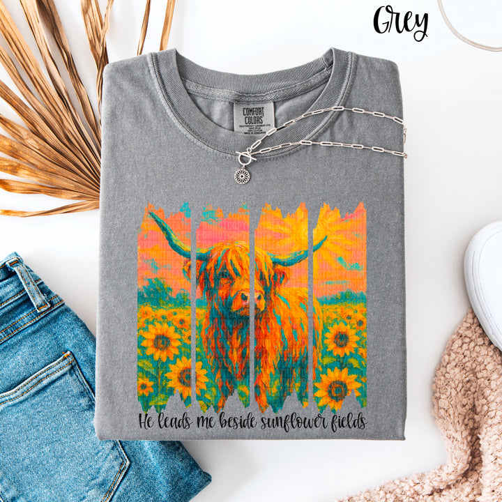 HE LEADS ME SUNFLOWER FIELDS