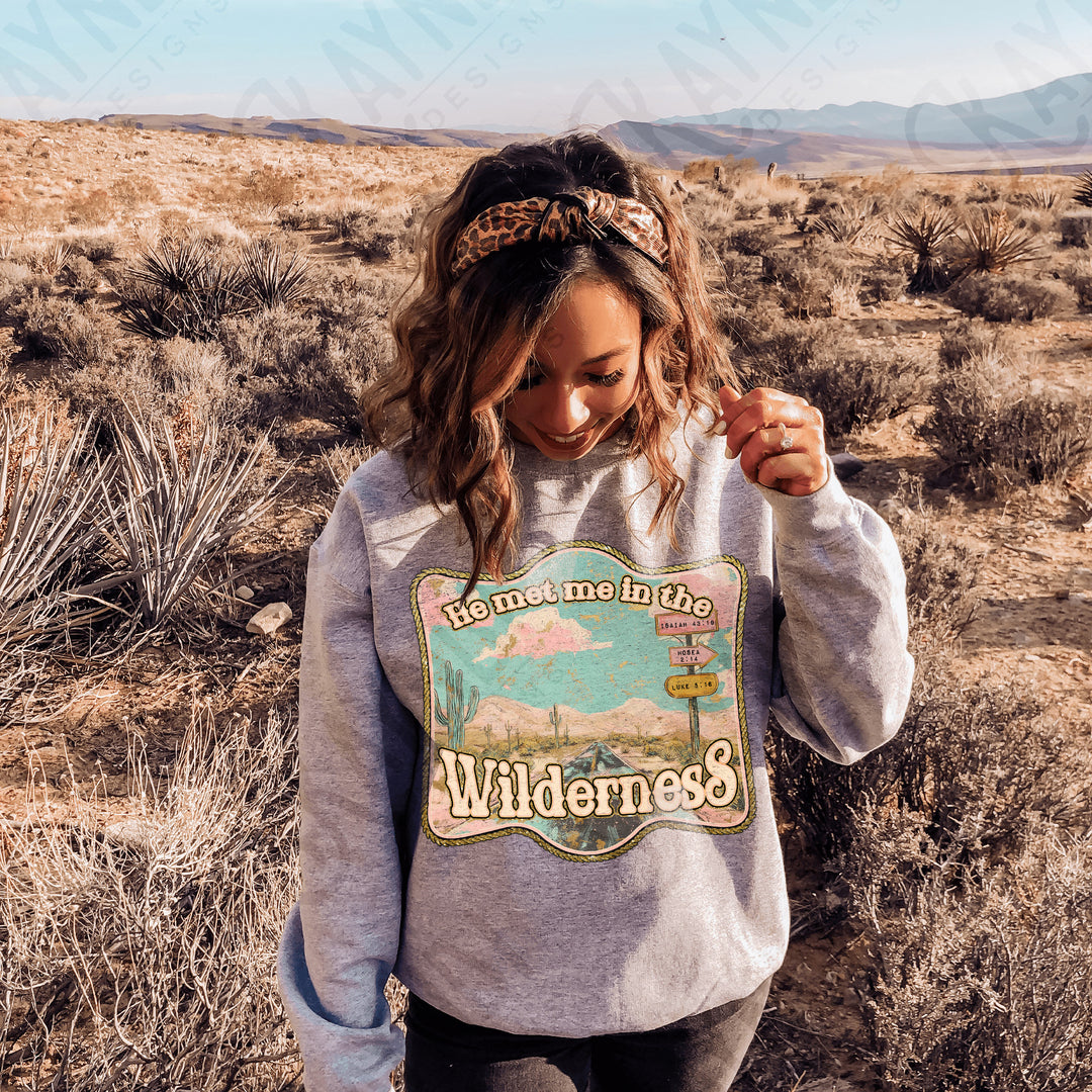 HE MET ME IN THE WILDERNESS