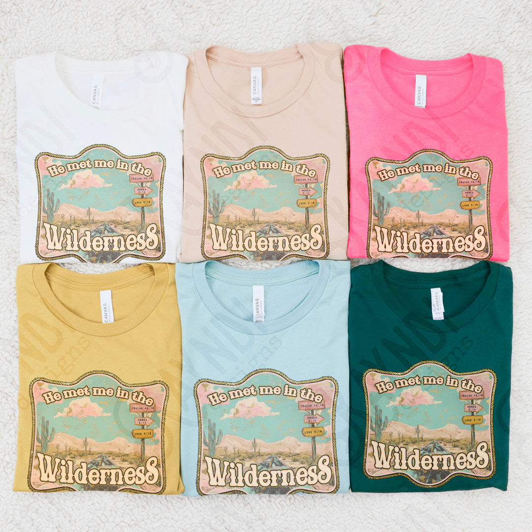 HE MET ME IN THE WILDERNESS