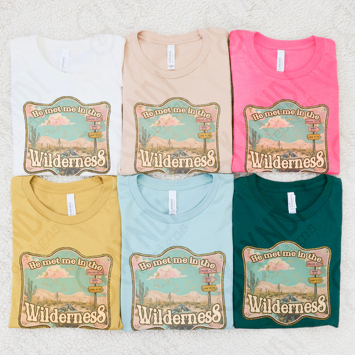 HE MET ME IN THE WILDERNESS