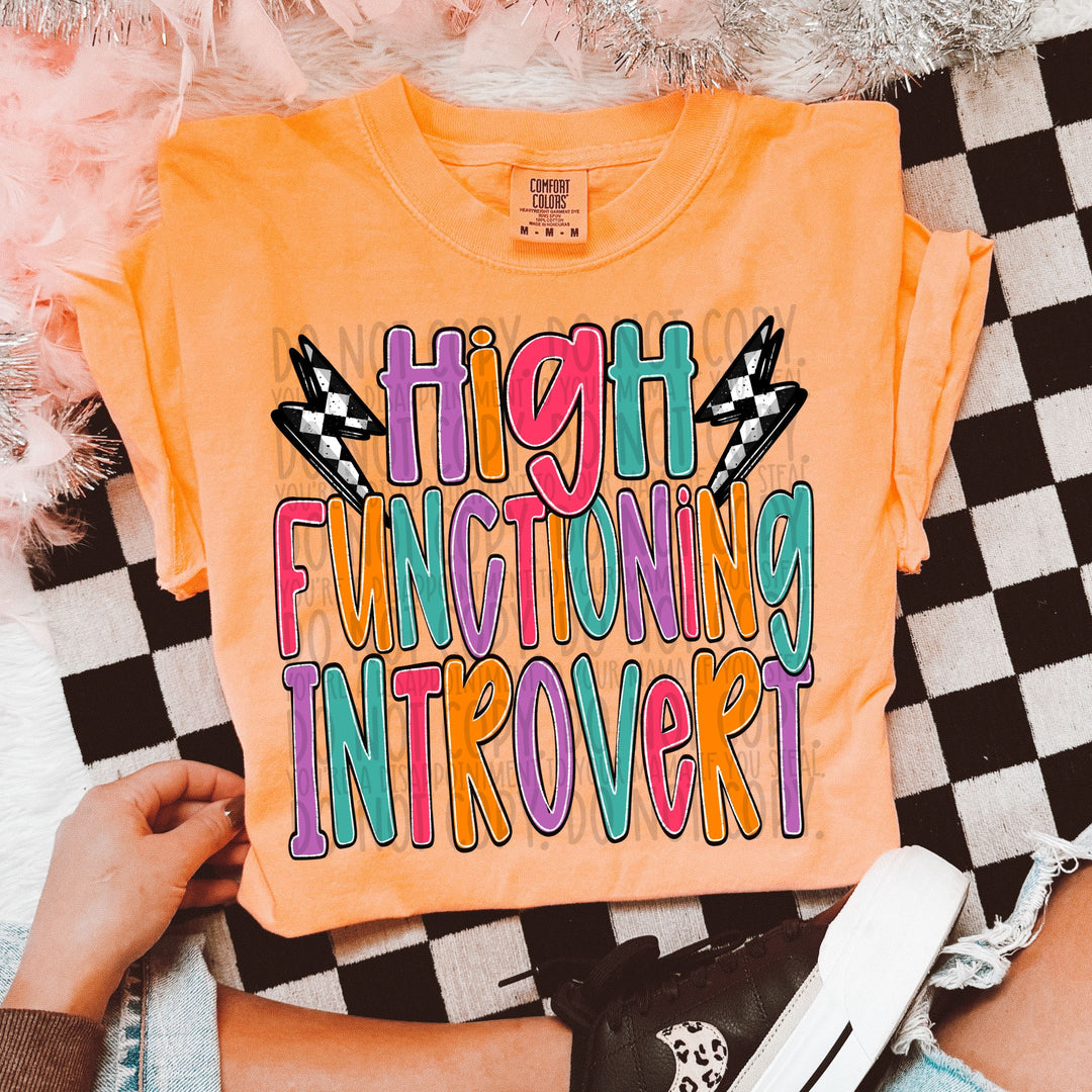 HIGH FUNCTIONING INTROVERT