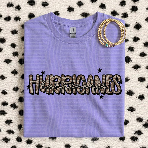 Zebra Mascots Hurricanes design