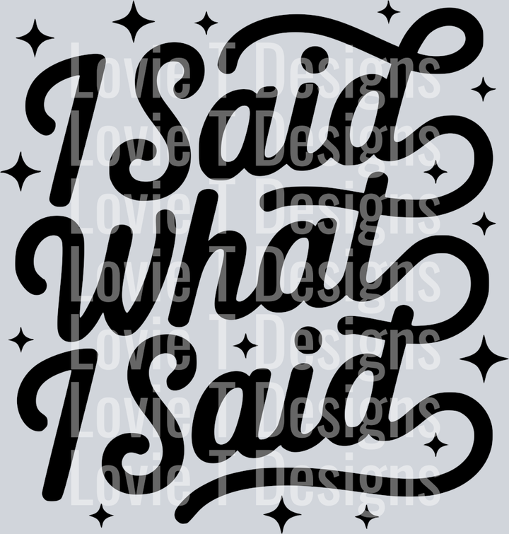 I SAID WHAT I SAID PNG