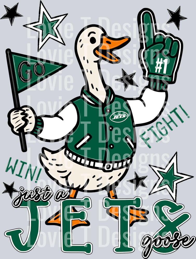 Just_A_Jets_Goose