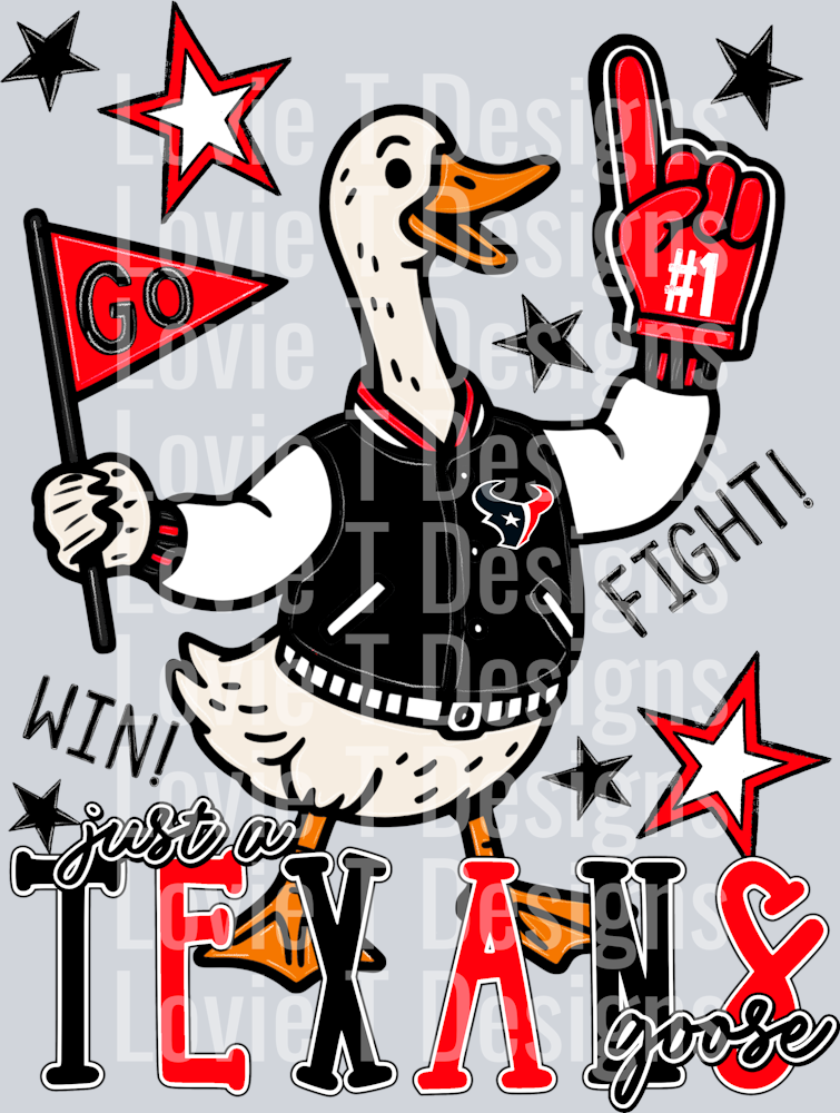 Just_A_Texans_Goose