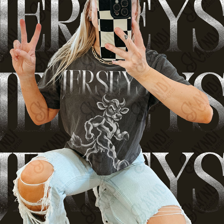 Halftone Mascots Jerseys 2 DTF transfer mockup