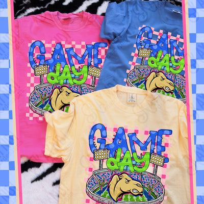 Game Day Stadium Camels mockup