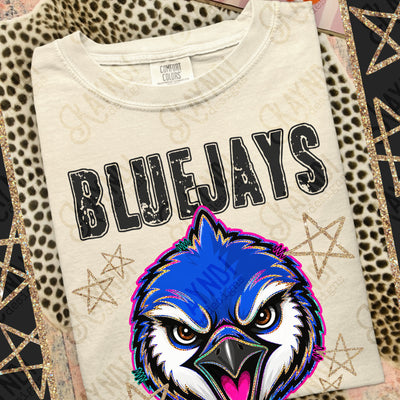 Grunge Varsity Blue Jays mockup