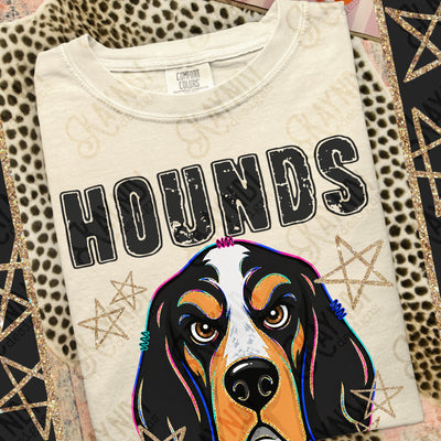 Grunge Varsity Hounds 2 mockup