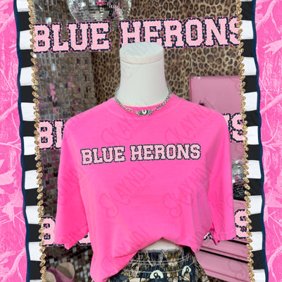 Varsity Stars Blue Herons mockup