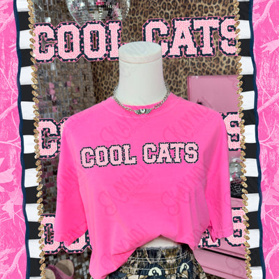 Varsity Stars Cool Cats mockup