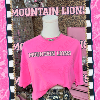 Varsity Stars Mountain Lions mockup