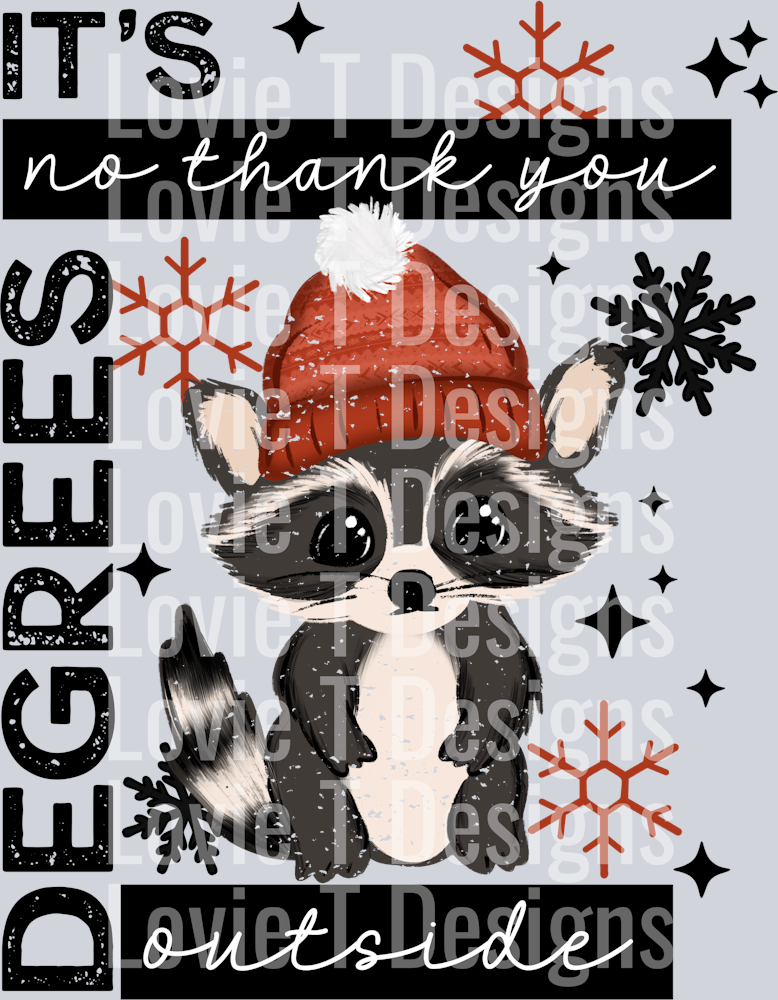 no thank you raccoon