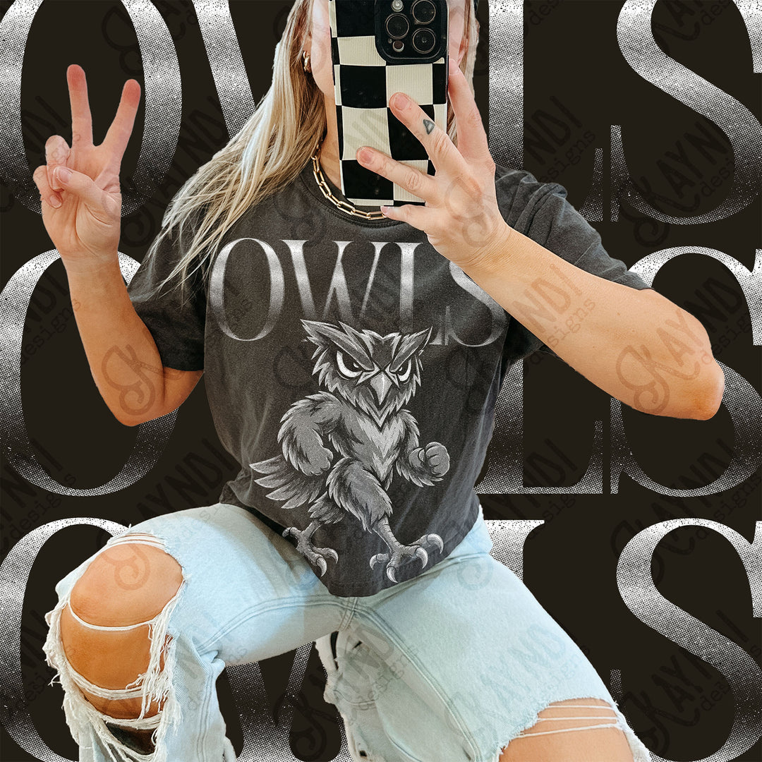 Halftone Mascots Owls 3 DTF transfer mockup